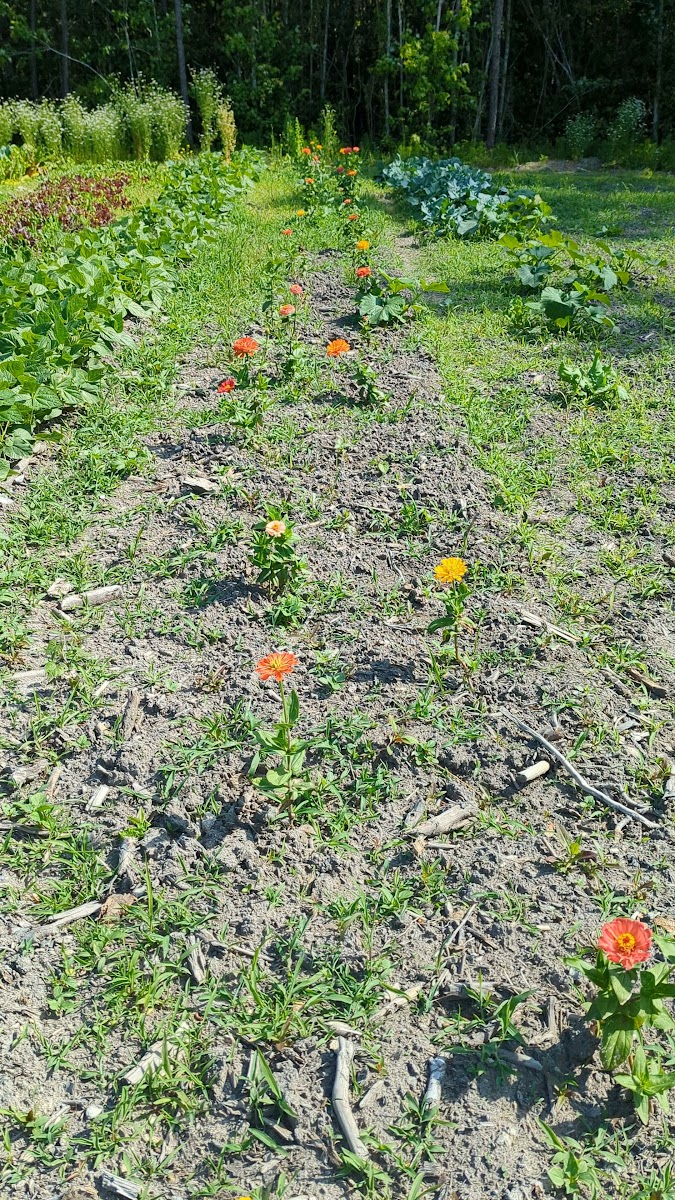 Natures Trace Park photo